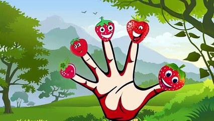 Finger Family And More Nursery Rhymes Collection | Daddy Finger | Strawberry Dog Bear Olaf Cartoons