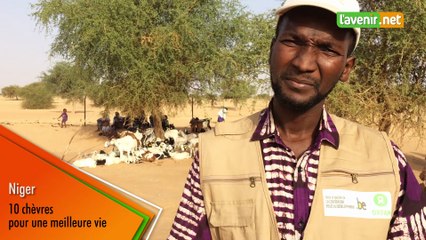 10 chèvres pour une meilleure vie