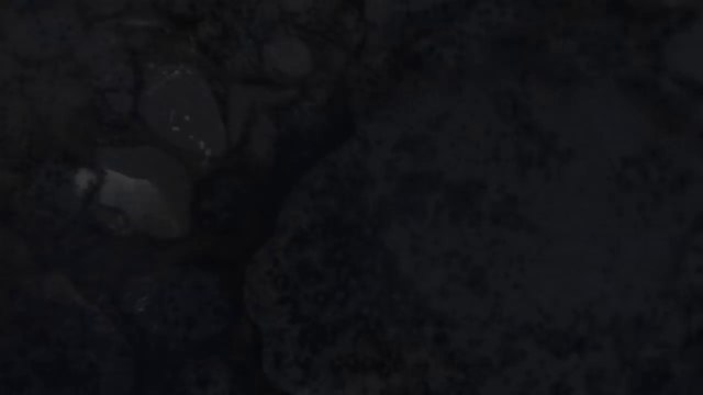 TEMPLE vs ERREKA - Semifinal Semifinal Concepción (Chile) 2016 - Red Bull Batalla de los Gallos