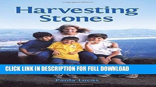 Ebook Harvesting Stones: An American woman s international journey of survival Free Read