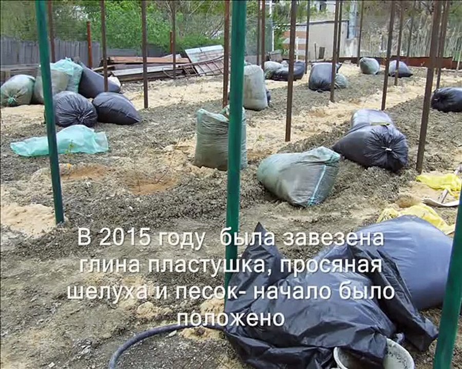 Виноград посадка шпалеры укрытие на зиму