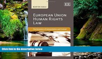 READ FULL  European Union Human Rights Law: The Dynamics of Interpretation and Context  Premium