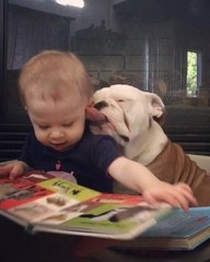 Precious bond between baby and bulldog