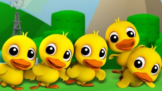 Five Little Ducks Famos  Nursery Rhyme