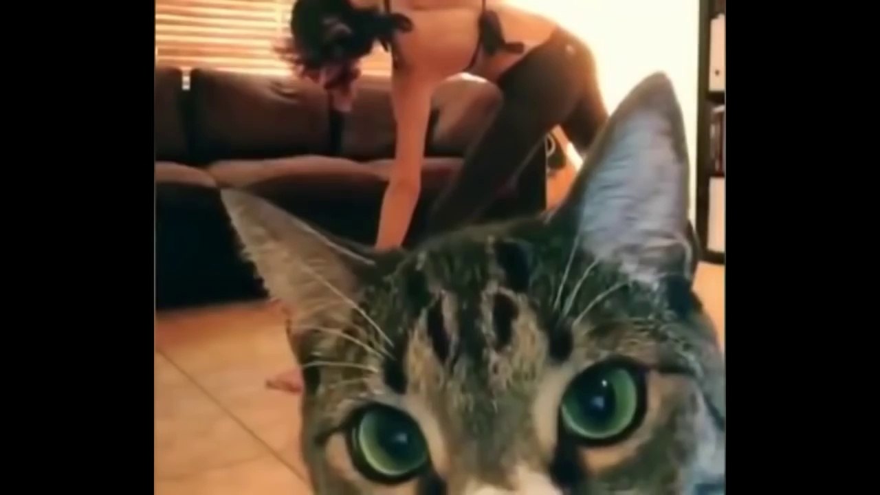Best funny girls fails compilation 2016 - Funny videos 2016 (try not to laugh)