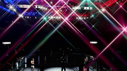 Conor McGregor vs Joe Rogan - Simulation Fight