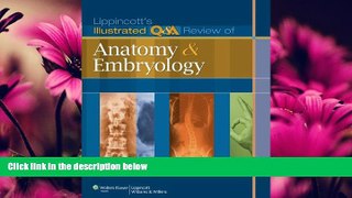 Online eBook Lippincott s Illustrated Q A Review of Anatomy and Embryology