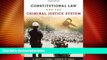 Big Deals  Constitutional Law and the Criminal Justice System  Full Read Best Seller