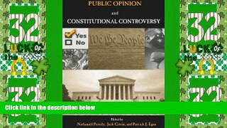 Big Deals  Public Opinion and Constitutional Controversy  Full Read Best Seller