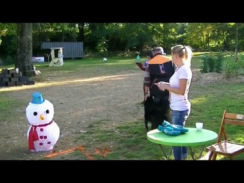 Starbuck, Mondioring 1, Juillan Oct 2016