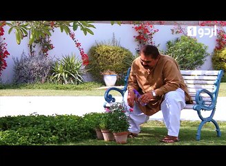 Bhabhi Sambhal Chabi Episode 102 Urdu1