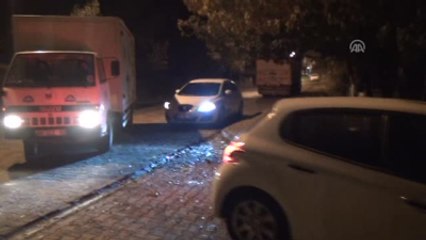 Bingöl'de Ölüme Terk Edilen Atlar Tatvan'a Getirildi