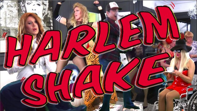 Harlem Shake ( Madonna, Gaga, Lana Del Rey, Cher, Rihanna, Katy Perry, Liza)