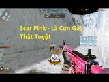 Bình Luận Truy Kích | Scar Pink vs Chế Độ Hetsot- Là Con Gái Thật Toẹt ✔