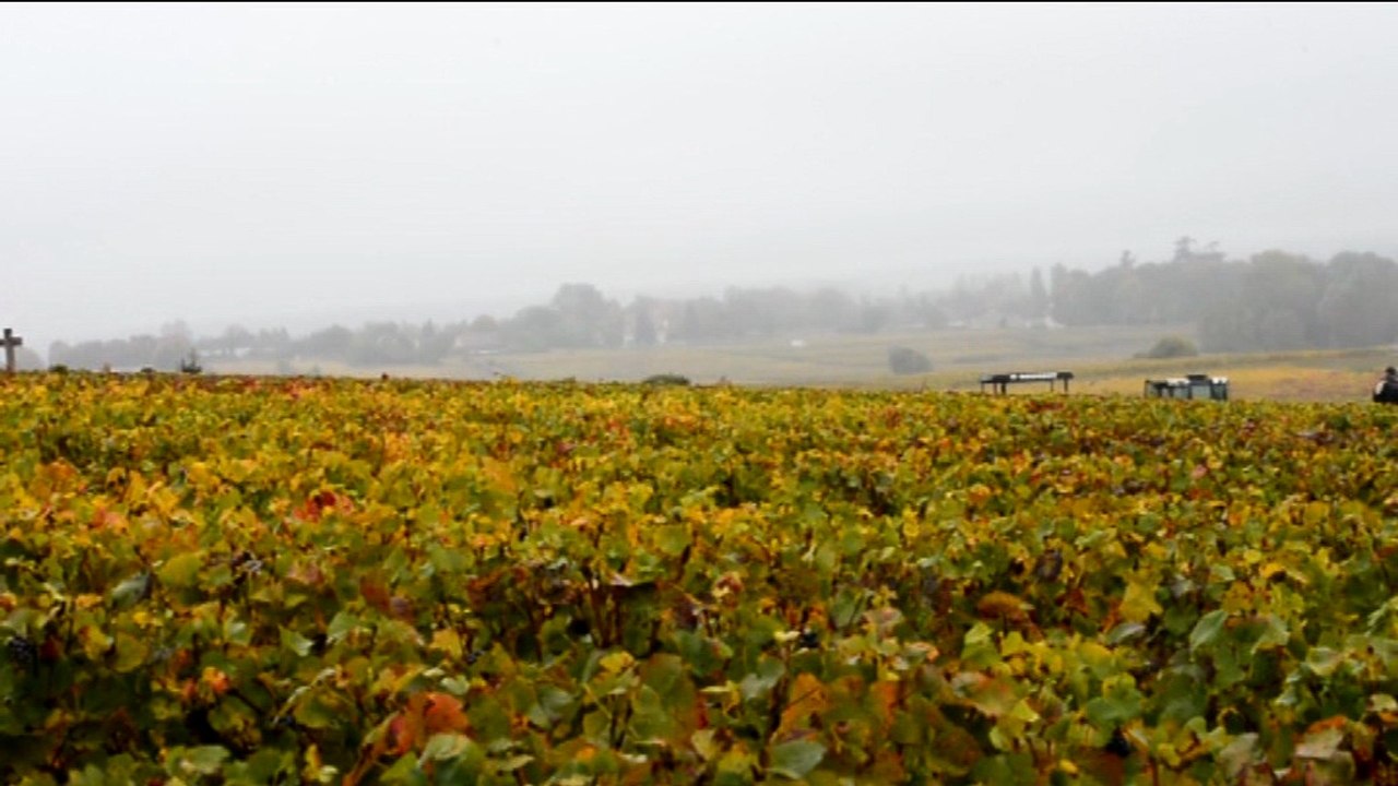 Domaine Charton