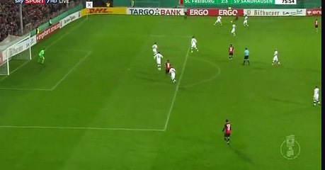 Vincenzo Grifo Goal HD - Freiburg	2-3	Sandhausen 25.10.2016