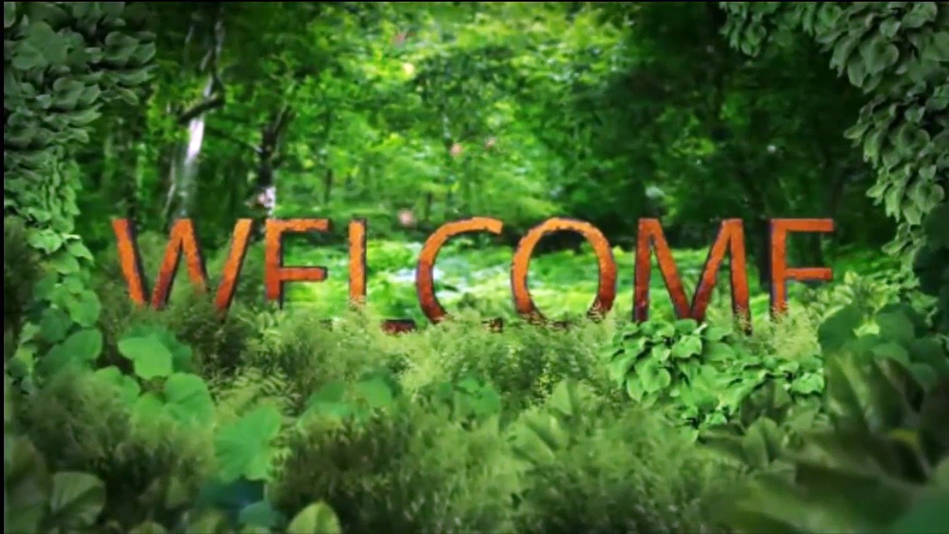 Funny Animals - Funny Animals Video