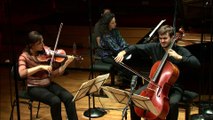 Robert Schumann - Trio pour piano et cordes n° 3 en sol mineur op. 110 - Ziemlich langsam par Trio Karenine