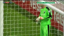 Mats Daehli Goal HD - Freiburg 1 - 0 Sandhausen - 25.10.2016