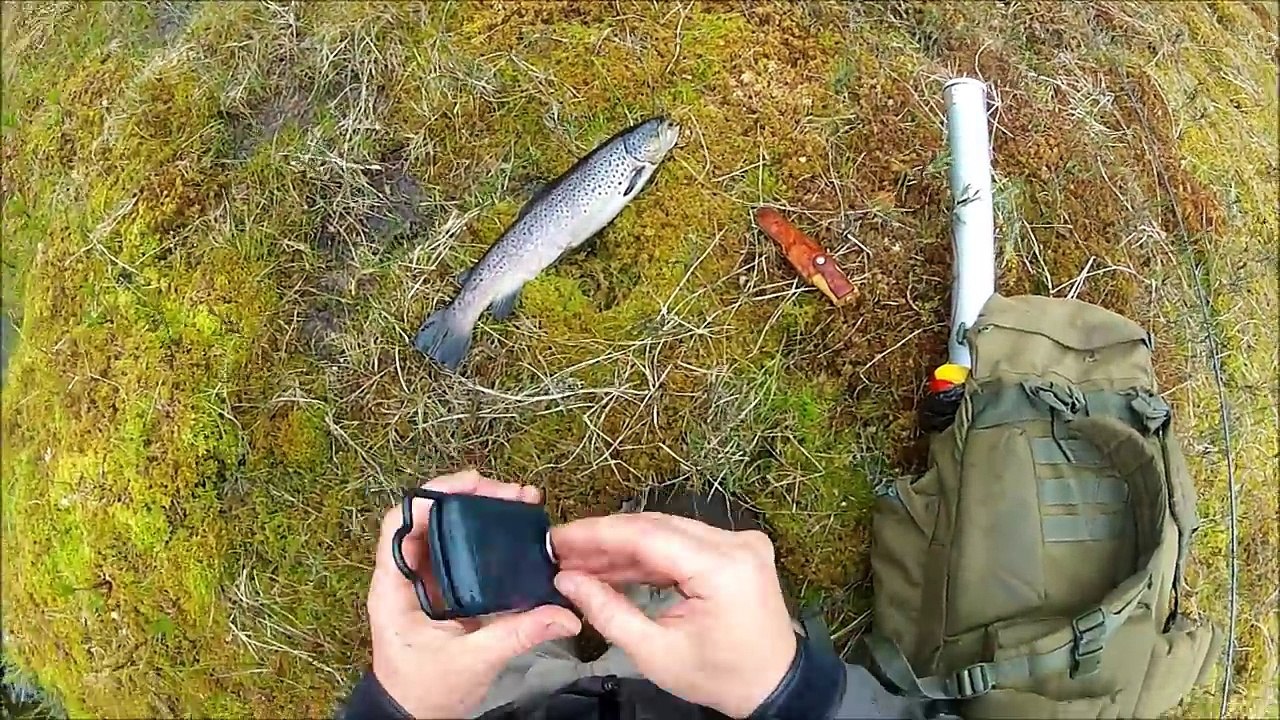 The trout in the river