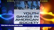 Big Deals  Youth Gangs in American Society (Contemporary Issues in Crime and Justice Series)  Full