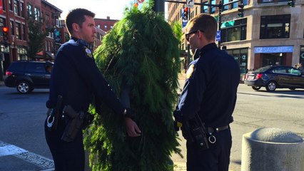 Guy DRESSD LIKE A TREE Gets Arrested In Maine