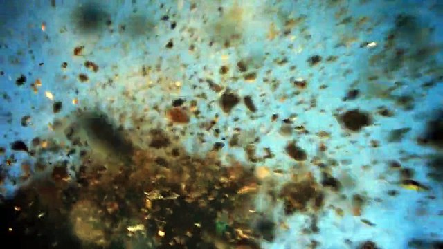 Raw Freeride Mountain Biking Shredding