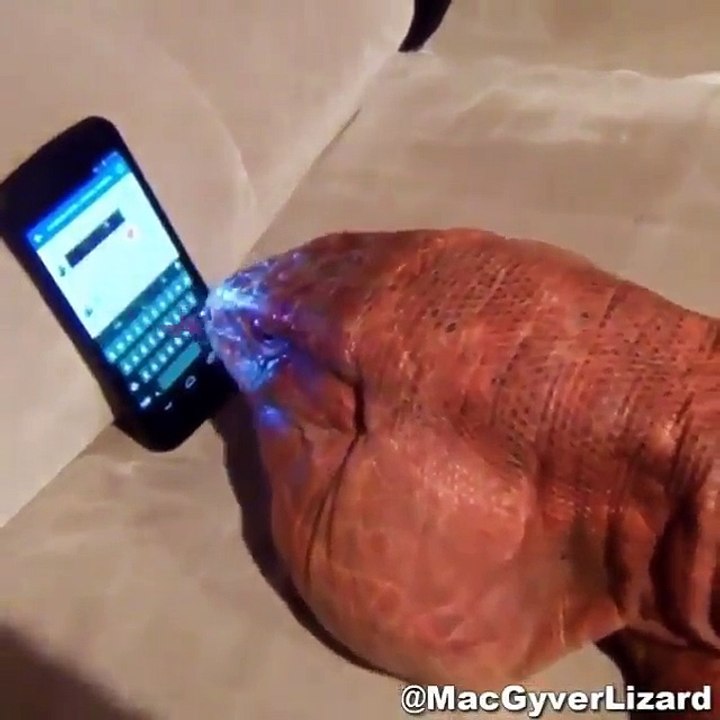 Animali tecnologici