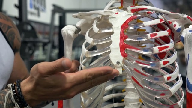 Bench Press Isn t The Best For Chest How To Build Your Pecs Advanced Training #9