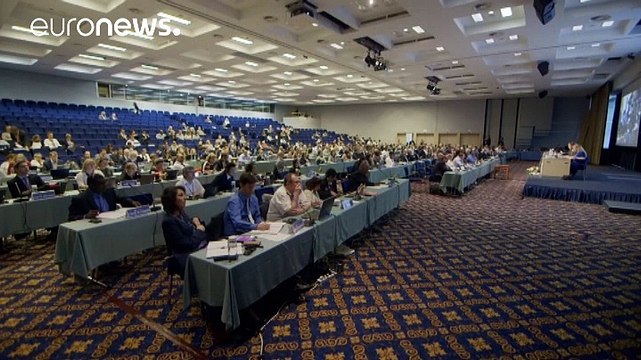 МКК: заповедника для китов пока не будет