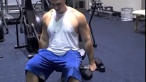Best Arm Exercises  Arm Workout Exercises