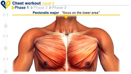 Best chest workout - 30 minutes routine - How to get big chest