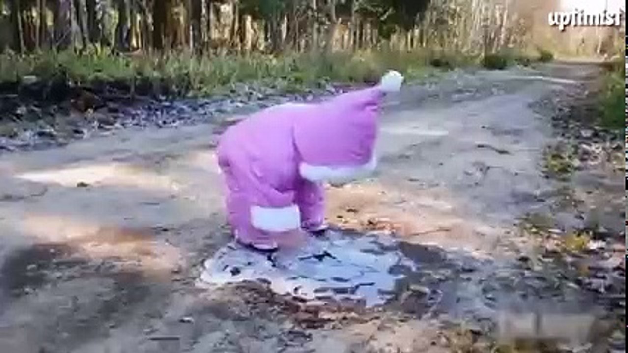 Видео приколы. Давай поржём ! mp4