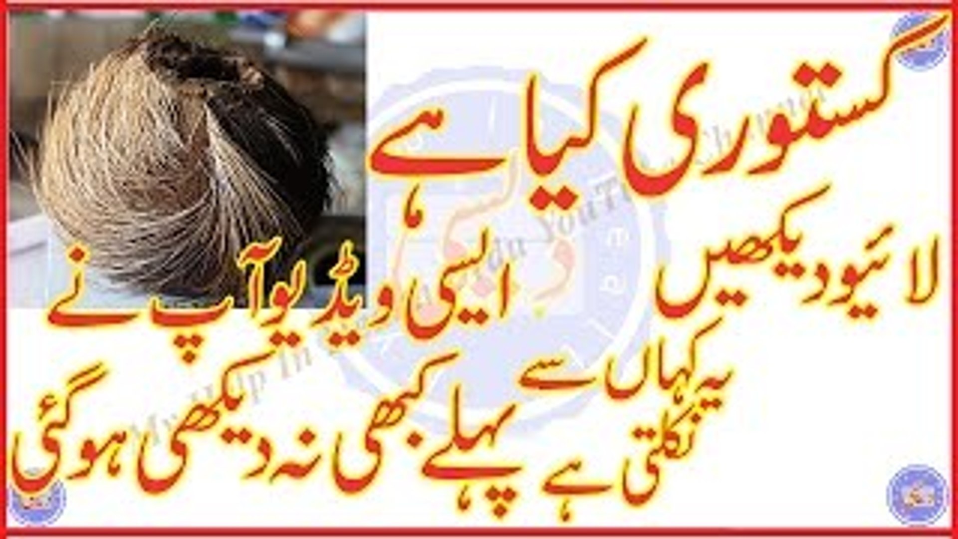 骨盤底の筋肉はどのようにきつくなりますか