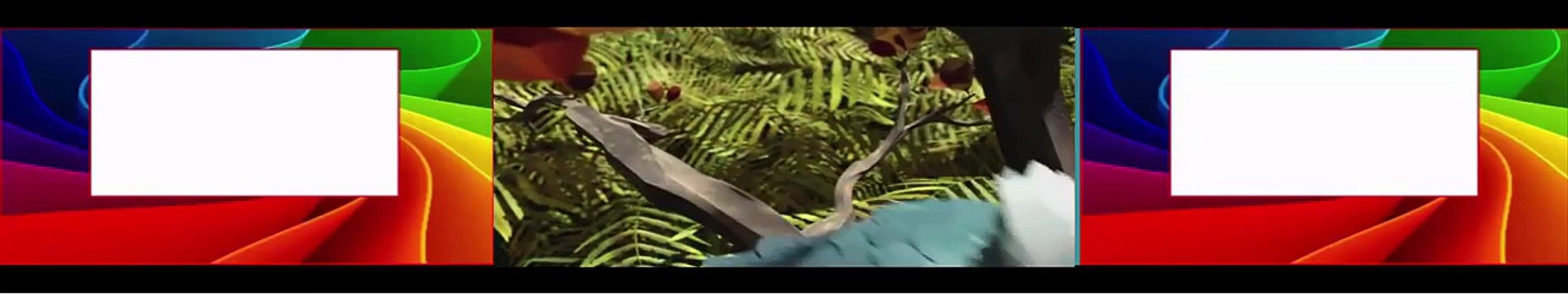 Gus Petit Oiseau Grand Voyage new Dessin Animé Complet En Francais