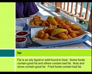 Health & Wellness: A Healthy Lifestyle