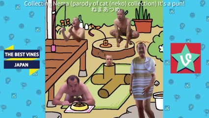 Hilarious middleage man Tadashi Nema from Ishigaki - Best Vines in Japan # 1 [interesting Vine Video] Ishigaki of laughter father root between the positive