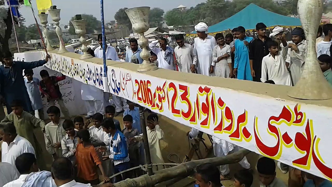 ox okhara  in monun jhelum 23 oct 2016