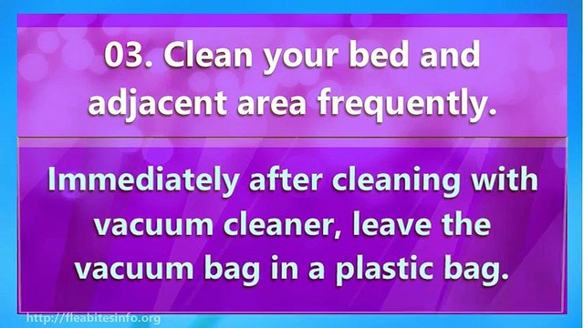 How To Avoid Bed Bug Bites?