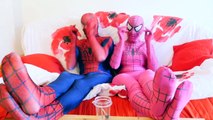 SPIDERMAN vs PINK SPIDERGIRL! Gummy JOKER TONGUE Giant Lollipop - Fun Superheroes in Real Life-4OcuV-CW