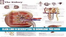 Read Now The Kidney chart: Laminated Wall Chart Download Book
