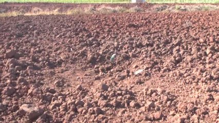 Suriye'den Ateşlenen Roket Mermisi Elbeyli'de Tarlaya Isabet Etti (2)