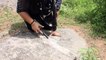 Inde: une “Princesse des Dinosaures” protège des fossiles rares