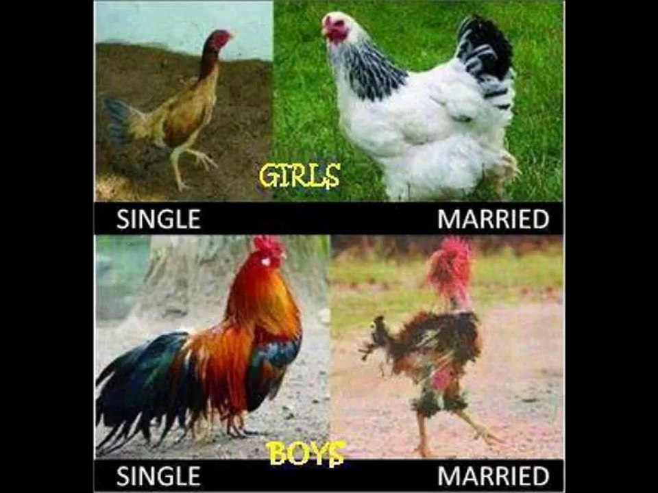 Top 10 Differences Between Men And Women. Funny Quotes. Jokes of The Day.