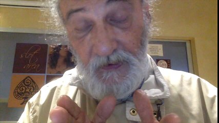 Referendum Zagrebelsky Non Ne Può Più