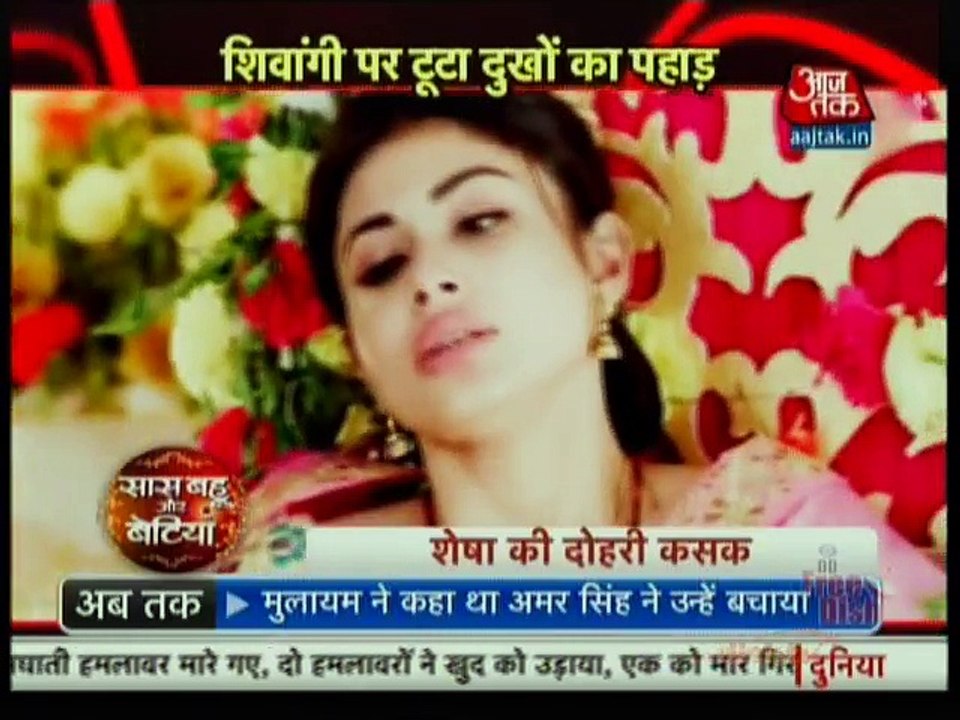 Naagin 2 25th October 2016 Episode