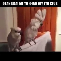 ΟΤΑΝ ΕΙΣΑΙ ΜΕ ΤΟΝ ΦΙΛΟ ΣΟΥ ΣΤΟ CLUB