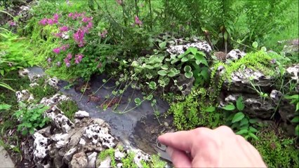 Victoria Pushed Freak Daddy Into Dirty Fountain Pond