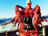 See catching king crab