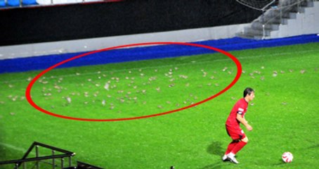 Çaykur Rizespor - Fethiyespor Maçında Sahayı Sığırcık Kuşları Bastı